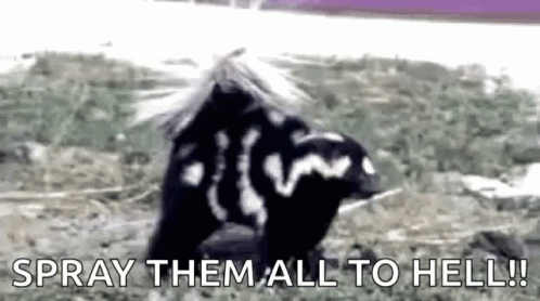 Skunk Spray Them To Hell GIF