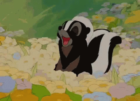Skunk You Make Me Happy GIF