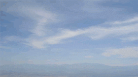 Sky Bird Short Film GIF