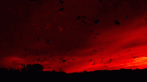 Sky Red Aesthetic GIF
