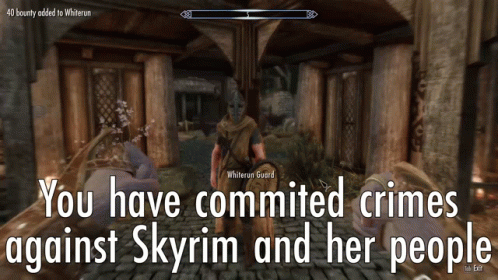 Skyrim Guard Whiterun GIF