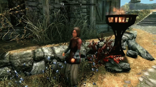 Skyrim Lydia The Elder Scrolls GIF