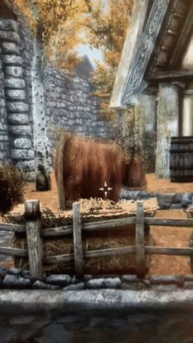 Skyrim Vibrate GIF