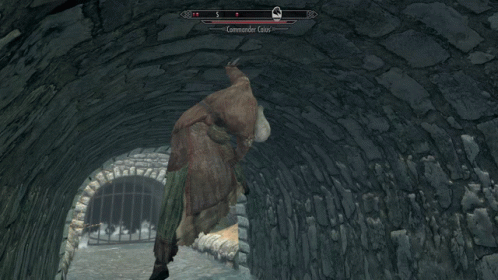 Skyrim Weirdmods Climbing GIF