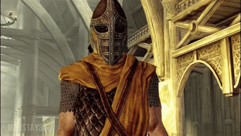 Skyrim Whiterun Guard GIF