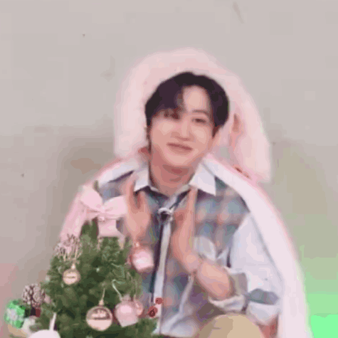 Skz Little Bunny Costume GIF
