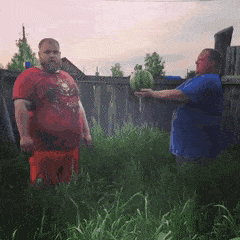 Slapping Watermelon Vasily Kamotsky GIF
