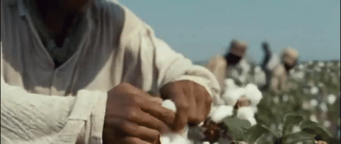 Slave Actor Chiwetel Ejiofor Harvesting Cotton GIF