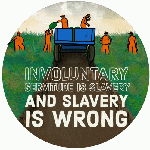 Slavery Involuntary Servitude GIF