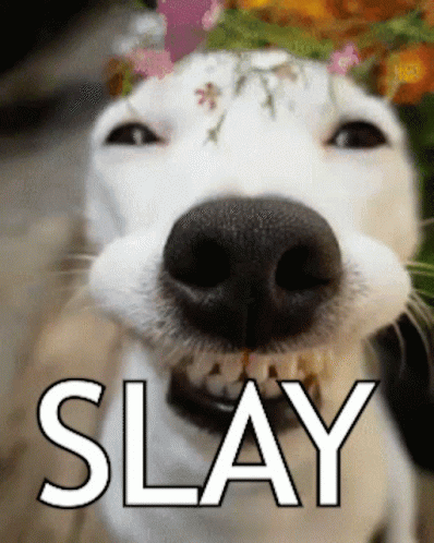Slay Happy Dog Smile GIF
