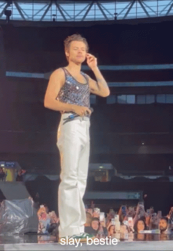 Slay Harry Styles Concert GIF