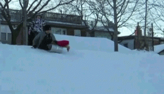 Sledge Riding Like A Boss GIF