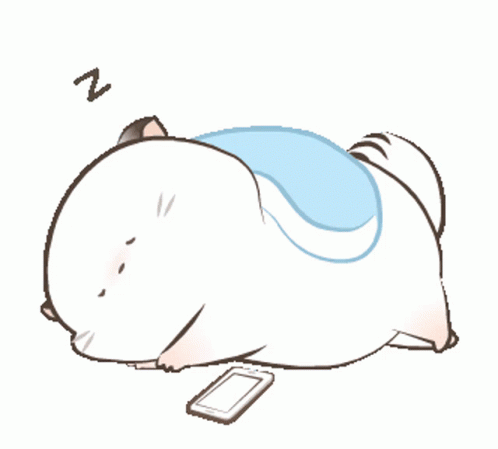 Sleep Cute Bamao Sleeping Beside Phone GIF