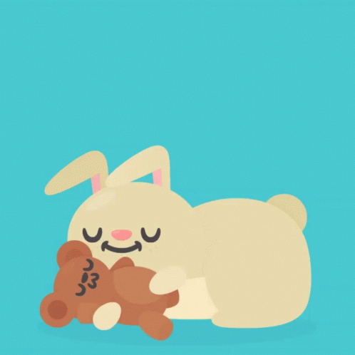 Sleep Cute Brown Bunny With Bear Toy GIF