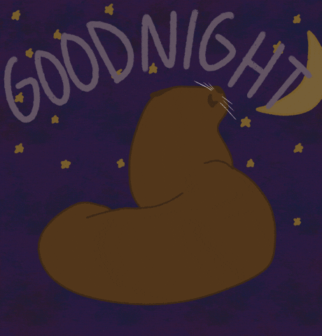 Sleep Cute Goodnight Brown Seal GIF