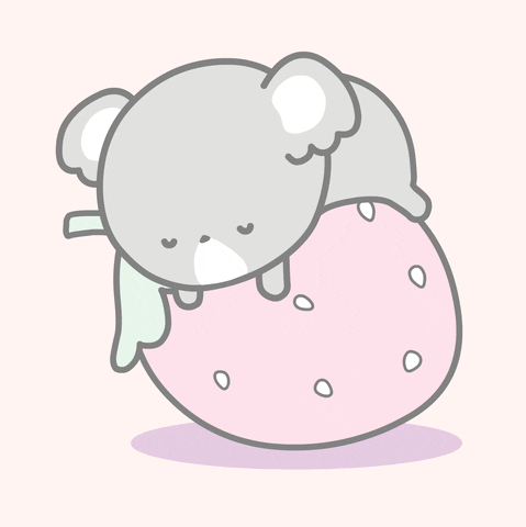 Sleep Cute Luna Koala In Strawberry GIF