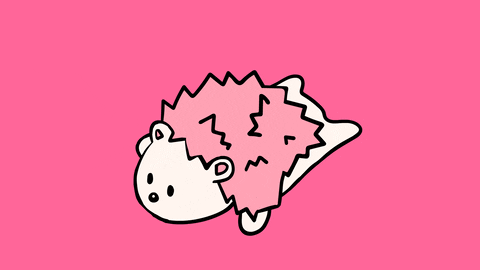 Sleep Cute Pink Hedgehog GIF