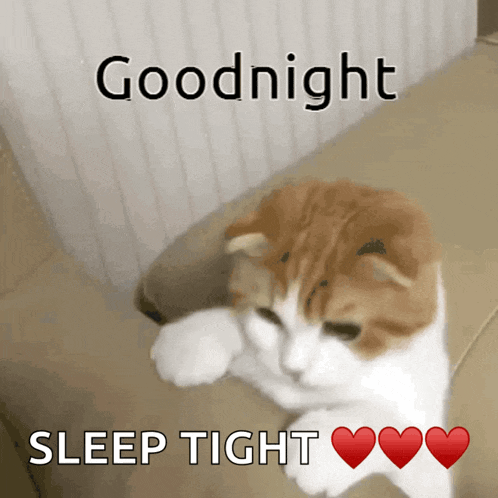 Sleep Good Night Gif GIF