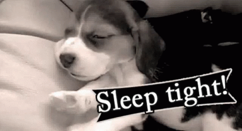 Sleep Tight Cute Puppy Dog Yawning GIF