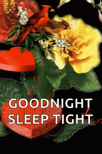 Sleep Tight Good Night Beautiful Roses GIF
