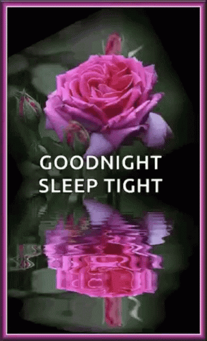 Sleep Tight Good Night Pink Roses GIF