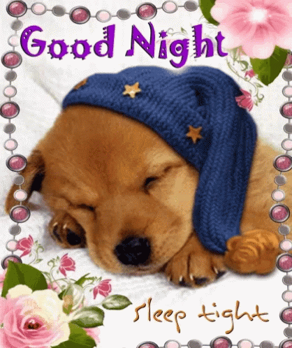Sleep Tight Good Night Puppy Logo GIF