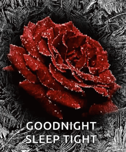 Sleep Tight Good Night Sparkle Red Roses GIF