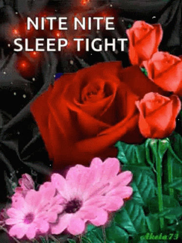Sleep Tight Night Night Beautiful Flower GIF