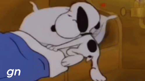 Sleep Well Snoopy GIF