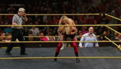 Sleeper Hold Natalia Vs Charlotte GIF