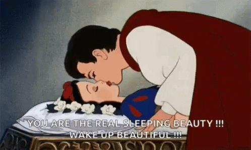 Prince Kissing Sleeping Beauty GIF