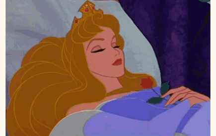 Sleeping Beauty Holding Rose