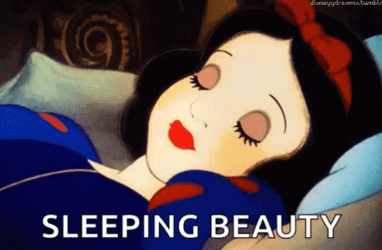 Sleeping Beauty Snow White GIF