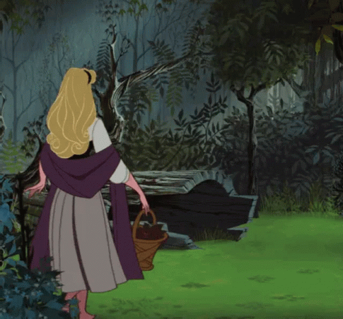 Sleeping Beauty With Animals GIF