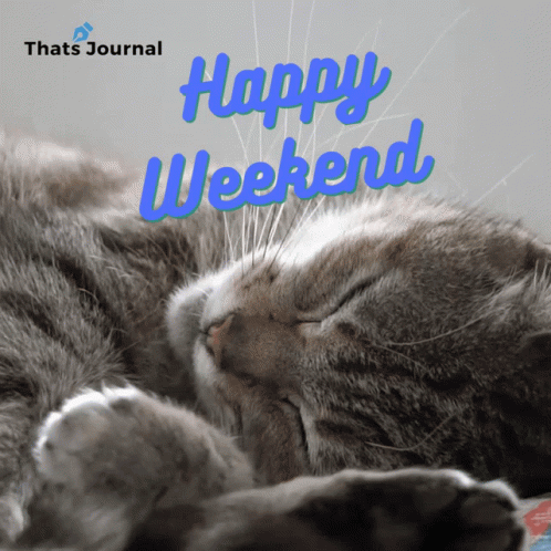 Sleeping Cat Happy Weekend