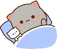 Sleeping Cat On Bed