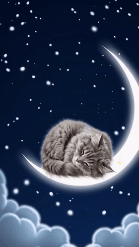 Sleeping Cat On Crescent Moon GIF