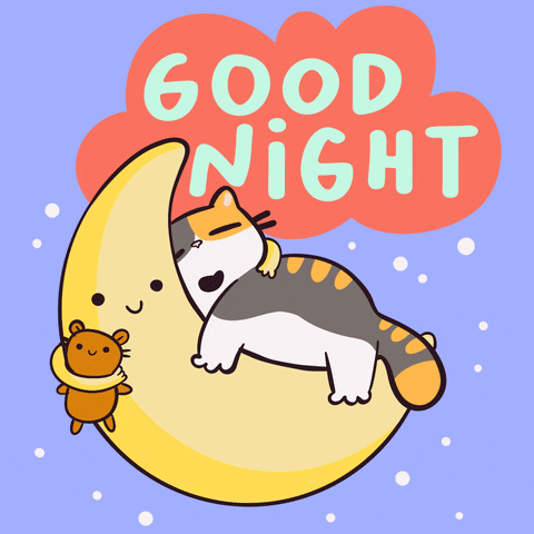 Sleeping Cat On Crescent Moon With Teddy Bear GIF