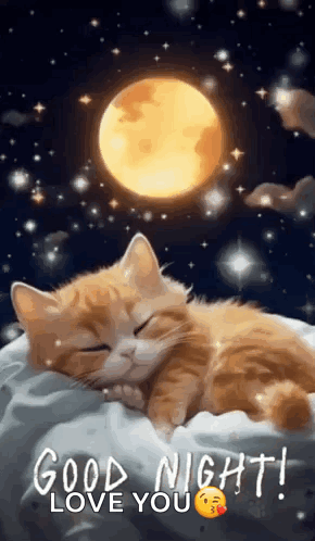 Sleeping Cat on Pillow with Moon