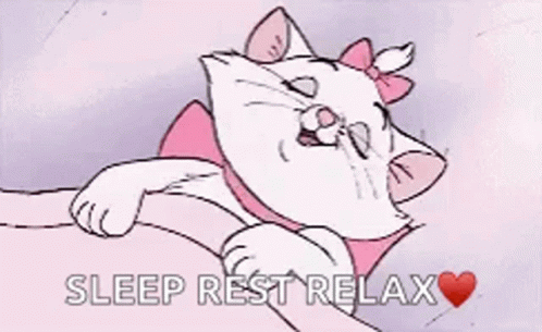 Sleeping Cat Relax Rest GIF