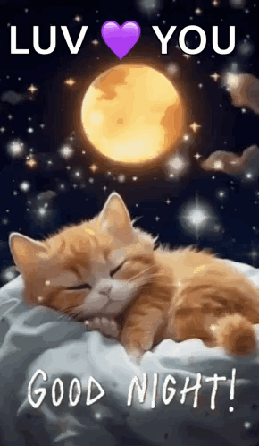 Sleeping Cat Under Full Moon and Purple Heart