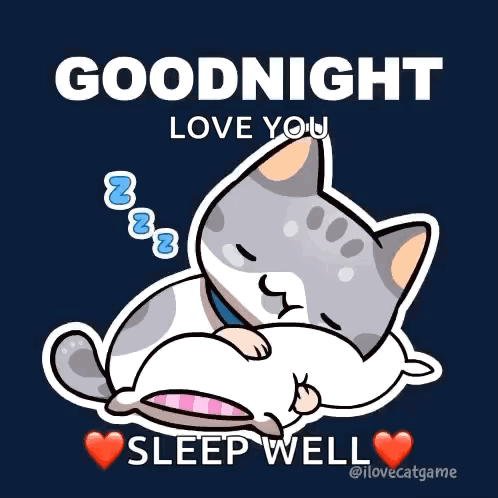 Sleeping Cat With Goodnight Love You GIF