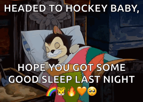 Sleeping Cat with Headed to Hockey Baby