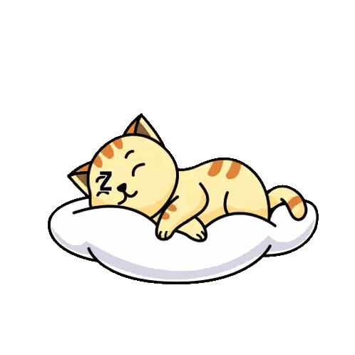 Sleeping Cat With NZ Letters
