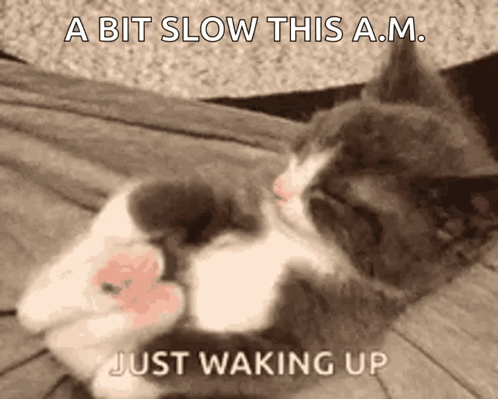 Sleeping Cat With Waking Up Text