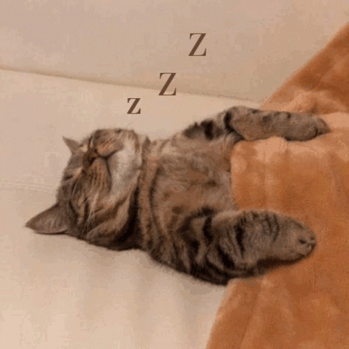 Sleeping Cat With ZZ GIF