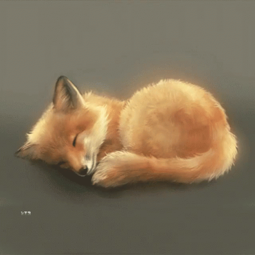 Sleeping Fox Painting With Letters LT9