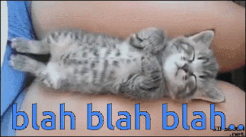 Sleeping Kitten Blah Blah Blah GIF
