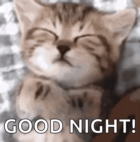 Sleeping Kitten Saying Good Night