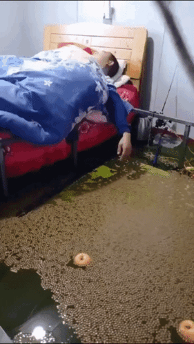 Sleeping Near Flooded Water GIF